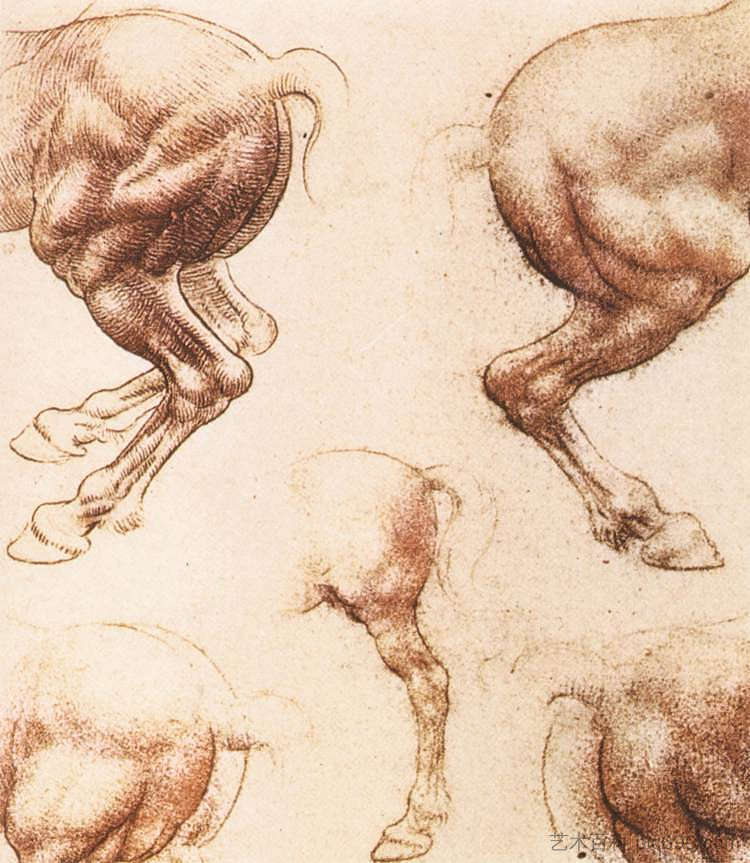 马的研究 Study of horses (c.1505; Florence,Italy  )，达芬奇