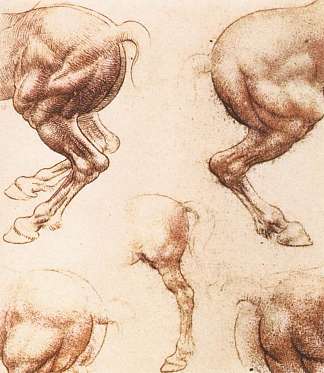 马的研究 Study of horses (c.1505; Florence,Italy                     )，达芬奇