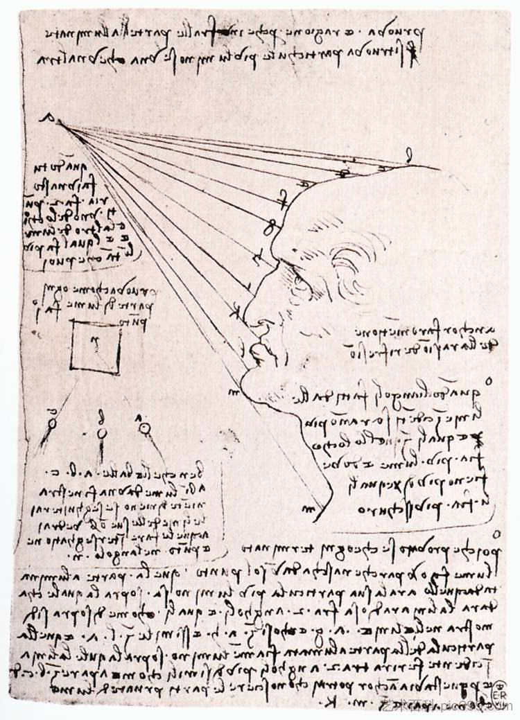 研究光对型材头的影响（传真） Study of the effect of light on a profile head (facsimile) (c.1488; Milan,Italy  )，达芬奇