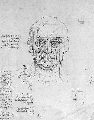 研究头部和眼睛的比例 Study on the proportions of head and eyes (c.1500; Italy                     )，达芬奇