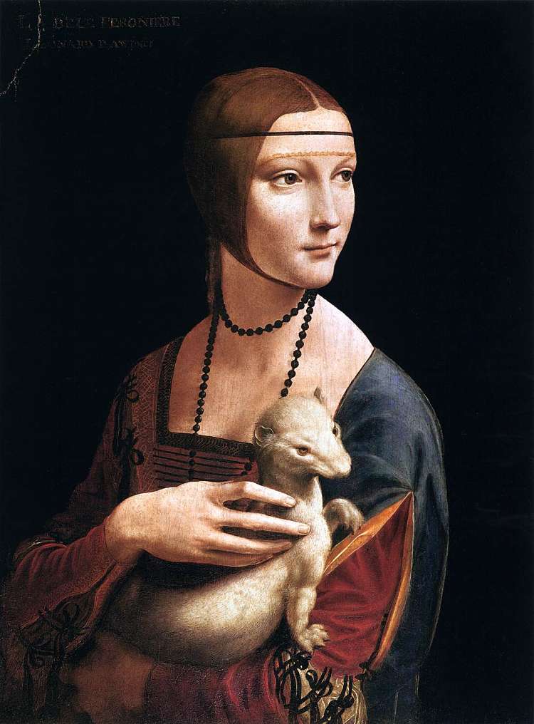 The Lady with a Ermine（塞西莉亚·加勒拉尼） The Lady with an Ermine (Cecilia Gallerani) (1489 - 1490; Milan,Italy  )，达芬奇