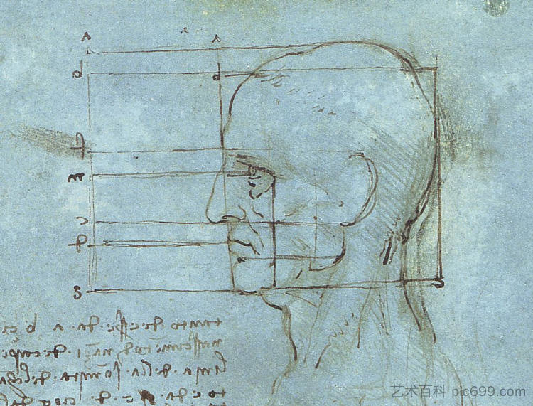 头部的比例 The proportions of the head (c.1490; Milan,Italy  )，达芬奇