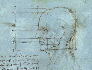 头部的比例 The proportions of the head (c.1490; Milan,Italy                     )，达芬奇