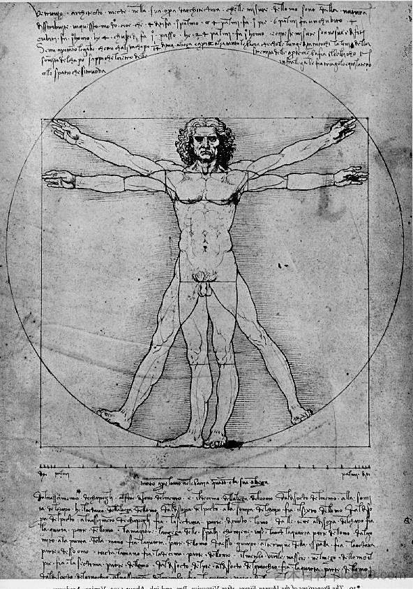 人物的比例(维特鲁威人) The proportions of the human figure (The Vitruvian Man) (1492; Milan,Italy ),达芬奇