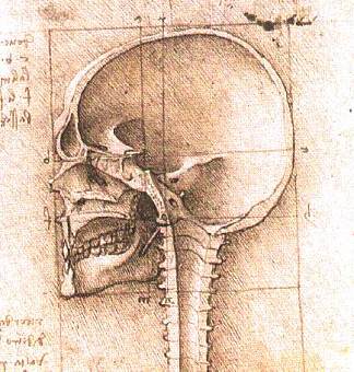 头骨视图 View of a Skull (c.1489; Italy                     )，达芬奇