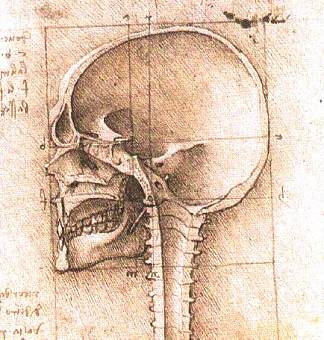 头骨视图 View of a Skull (c.1489; Italy                     )，达芬奇