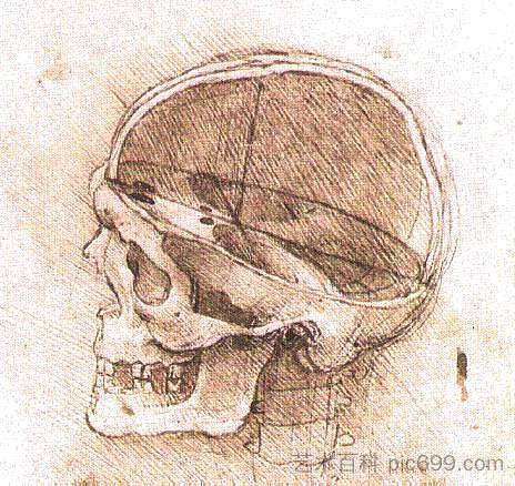 头骨视图 View of a Skull (c.1500; Italy ),达芬奇