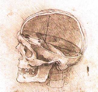 头骨视图 View of a Skull (c.1500; Italy                     )，达芬奇