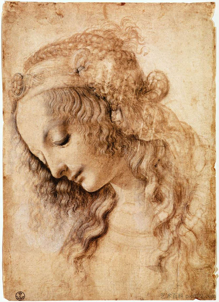 女人的头 Woman's Head (c.1473; Milan,Italy  )，达芬奇