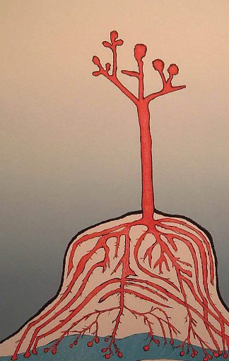 阿伊努树 The Ainu Tree，路易丝·布儒瓦