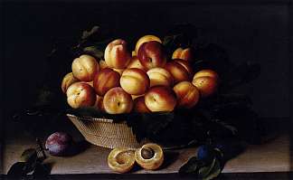 杏子篮 Basket of Apricots (1634; France                     )，路易丝莫永