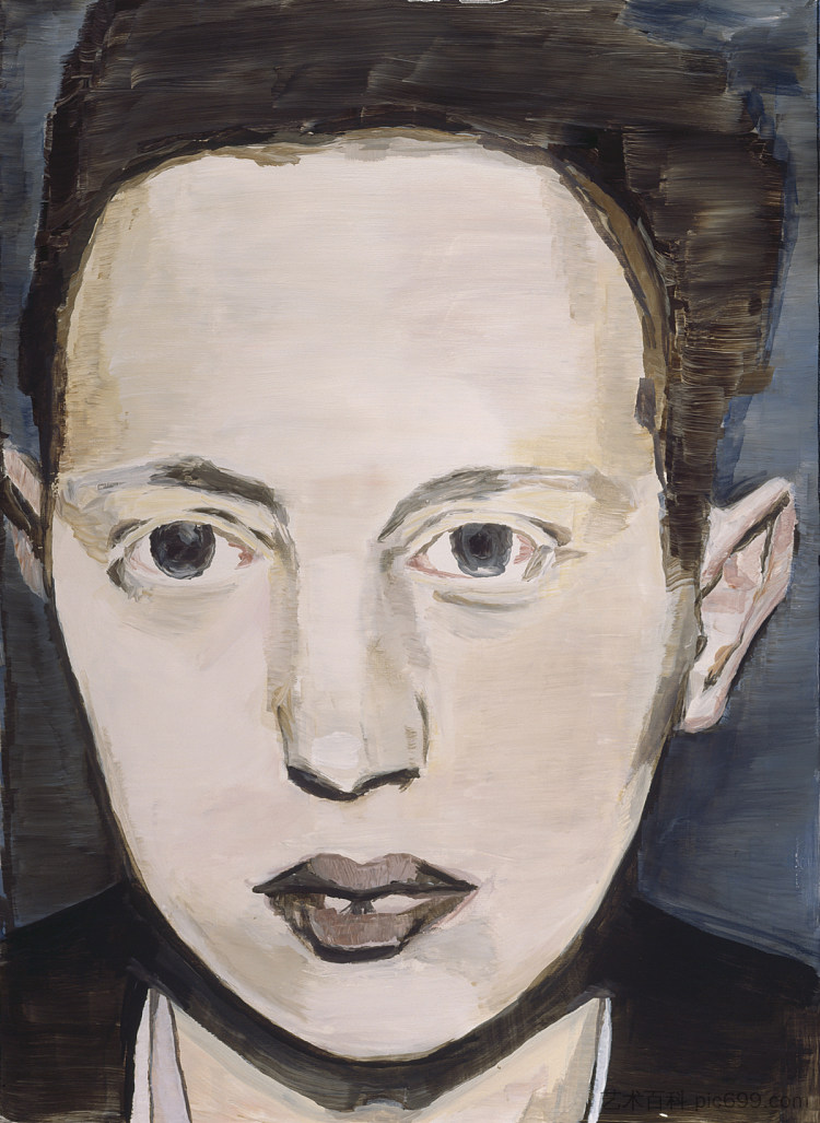 视图五的诊断 The diagnostic of view V (1992; Belgium ),吕克·图伊曼