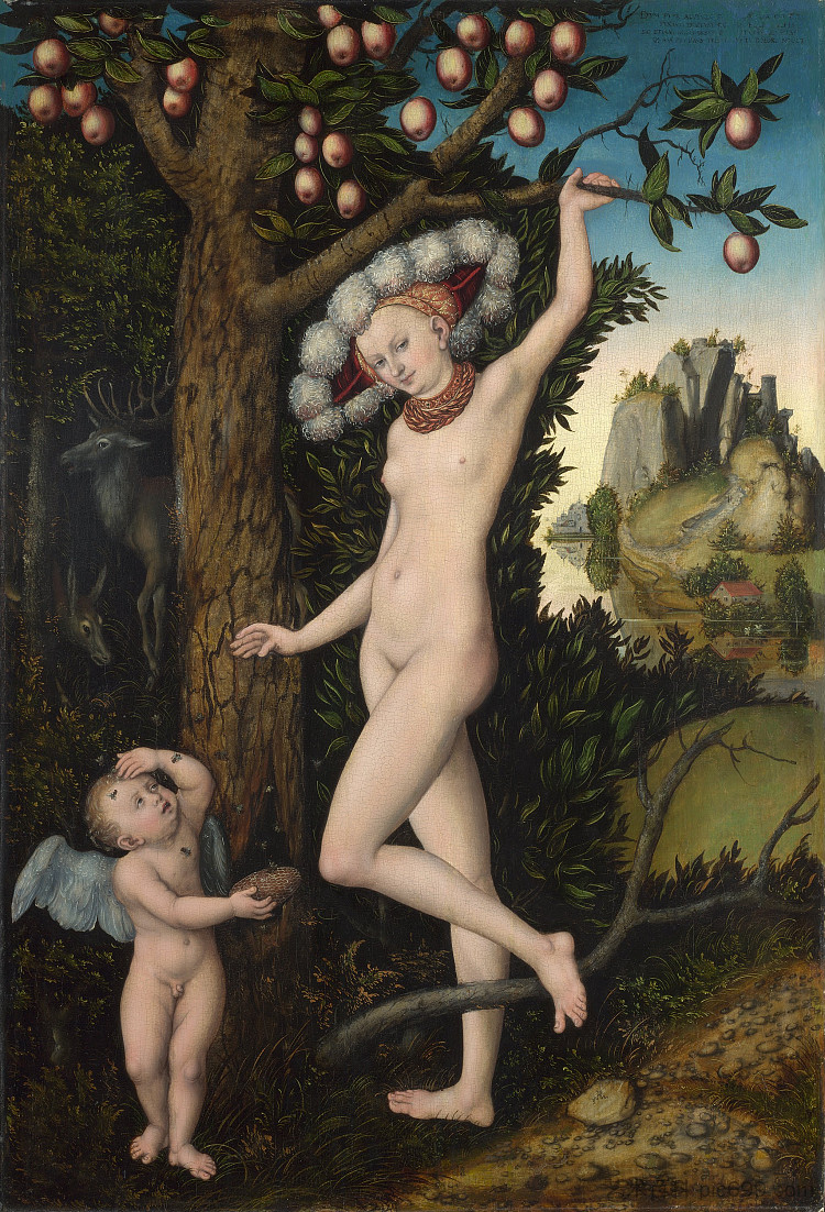 丘比特向维纳斯抱怨。 Cupid complaining to Venus. (c.1525; Germany ),大·卢卡斯·克拉纳赫