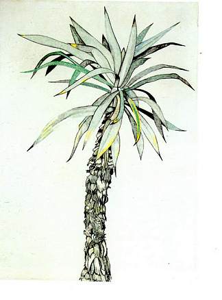 棕榈 Palm Tree (1944)，卢西安·弗洛伊德