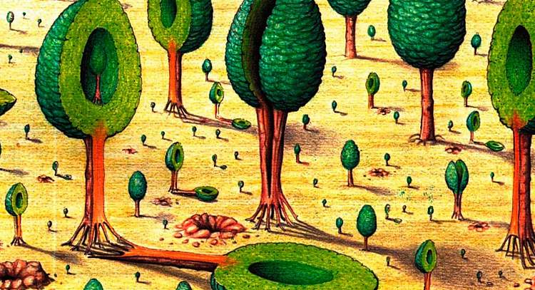 塞拉菲尼亚努斯法典 Codex Seraphinianus (1981)，路易吉·塞拉菲尼