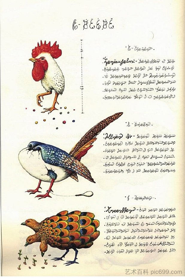 来自“Codex Seraphinianus”的鸟类 Birds from "Codex Seraphinianus" (1981; Italy  )，路易吉·塞拉菲尼