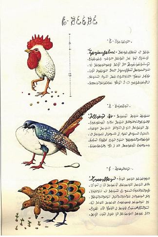 来自“Codex Seraphinianus”的鸟类 Birds from “Codex Seraphinianus” (1981; Italy                     )，路易吉·塞拉菲尼