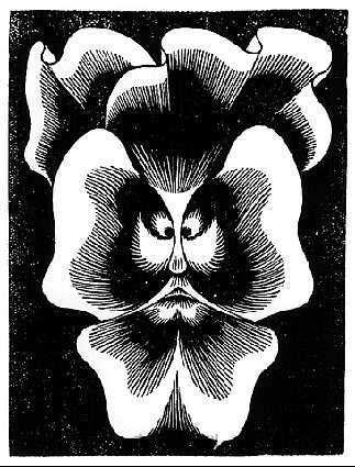 一品红 - 拉彭湖 Flor de Pascua - La Pensee (1921),莫里兹·柯尼利斯·艾雪