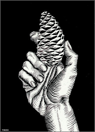 手与冷杉锥 Hand with Fir Cone (1921)，莫里兹·柯尼利斯·艾雪
