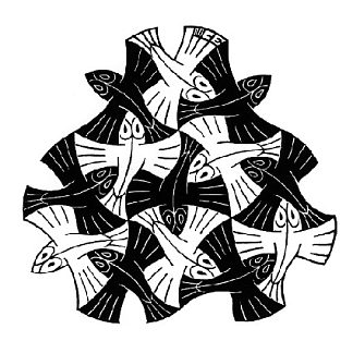 7条黑鱼和6条白鱼 7 Black and 6 White Fishes (1954)，莫里兹·柯尼利斯·艾雪