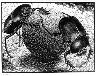 圣 甲虫 Scarabs (1935)，莫里兹·柯尼利斯·艾雪