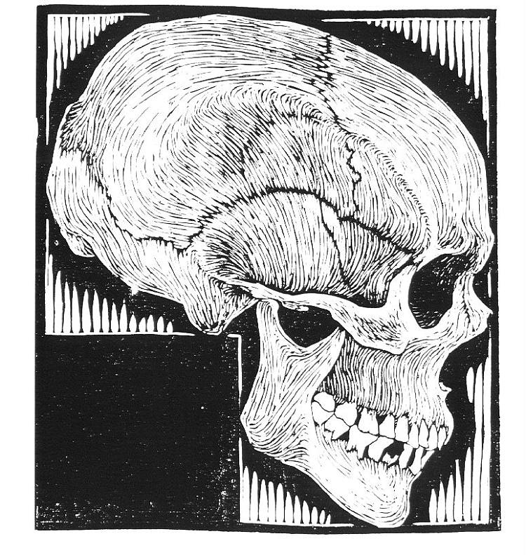 头盖骨 Skull (1919)，莫里兹·柯尼利斯·艾雪