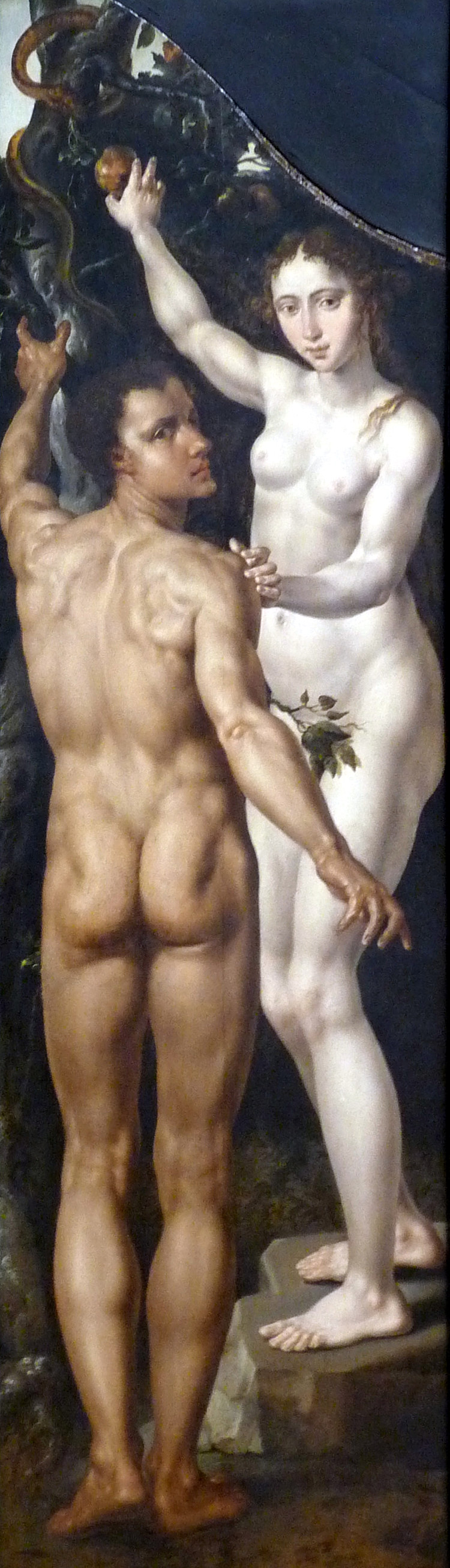 亚当和夏娃 Adam and Eve (c.1550)，迈尔顿·范·希姆斯柯克
