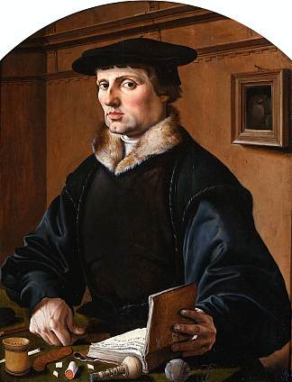 一个男人的肖像 Portrait of a Man (1529)，迈尔顿·范·希姆斯柯克