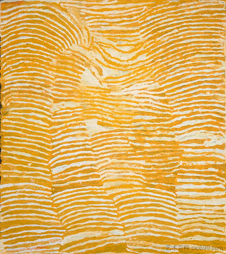 与卢普伦加岩洞遗址相关的设计 Designs Associated with the Rockhole Site of Lupulnga (2004)，马金蒂·纳帕南卡