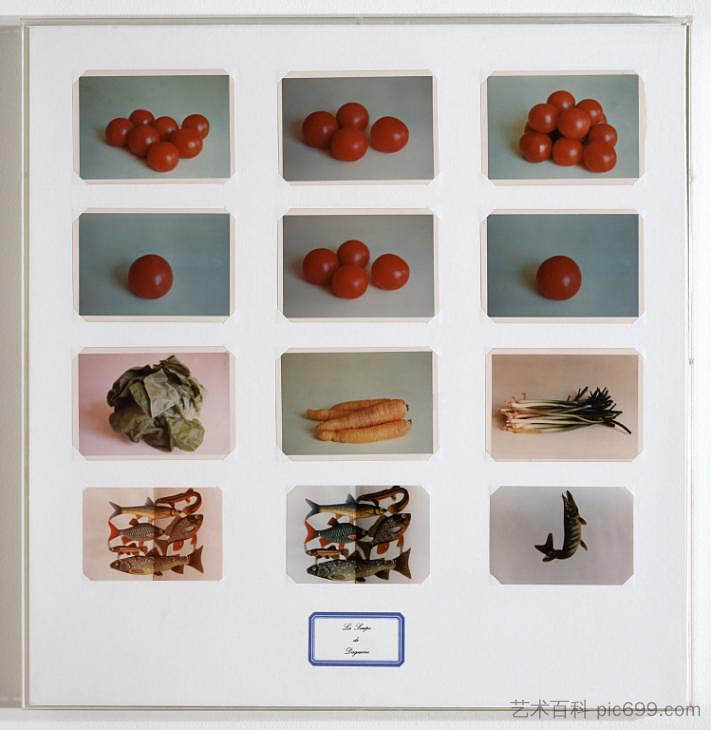 达盖尔汤 Daguerre’s Soup (1975),布达埃尔