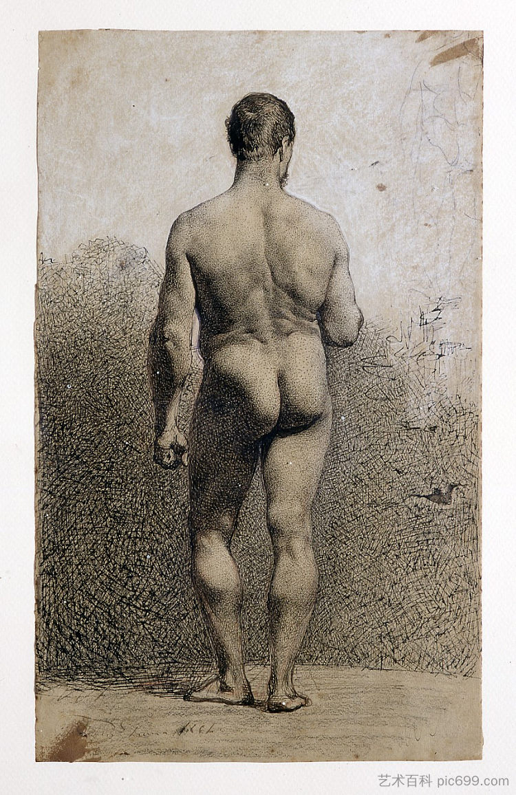 男性裸体背部 Male nude back (1861)，玛丽亚·福尔图尼