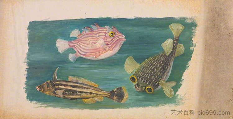 鱼 Fishes (1870)，玛丽安娜·诺斯