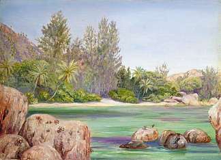 塞舌尔普拉兰海岸的生活 Life on the Coast of Praslin, Seychelles (1883)，玛丽安娜·诺斯