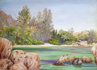 塞舌尔普拉兰海岸的生活 Life on the Coast of Praslin, Seychelles (1883)，玛丽安娜·诺斯