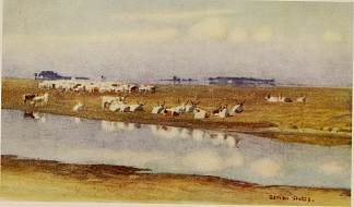 霍尔托巴吉普斯塔岛上的牛 CATTLE ON THE PUSZTA OF HORTOBAGY (1909)，玛丽安·斯托克斯