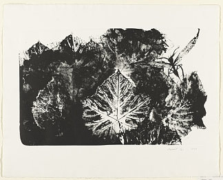 森林 Forest (1973)，玛丽索·埃斯科巴