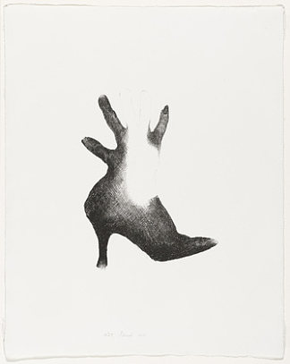 鞋子和手 Shoe and Hand (1964)，玛丽索·埃斯科巴