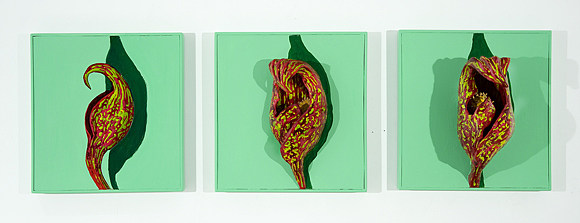猪笼草 Pitcher Plant (1968)，玛乔丽·斯特赖德