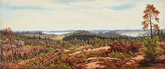 从海林格朝向大海的全景 Panoramic view from Häringe towards the sea (1862)，貂埃斯基尔温格