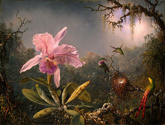 卡特莱亚兰花和三只蜂鸟 Cattleya Orchid and Three Hummingbirds (1871)，马丁·约翰逊·赫德