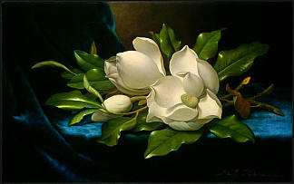 蓝色天鹅绒布上的巨型木兰花 Giant Magnolias on a Blue Velvet Cloth (1890)，马丁·约翰逊·赫德