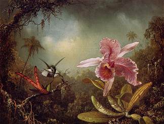 兰花与两只蜂鸟 Orchid with Two Hummingbirds (1871)，马丁·约翰逊·赫德