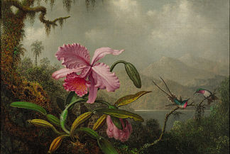 兰花和蜂鸟 Orchids and Hummingbirds (1890)，马丁·约翰逊·赫德