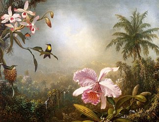 兰花筑巢蜂鸟和蝴蝶 Orchids Nesting Hummingbirds And A Butterfly，马丁·约翰逊·赫德