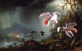 两只战斗蜂鸟与两朵兰花 Two Fighting Hummingbirds with Two Orchids (1875)，马丁·约翰逊·赫德