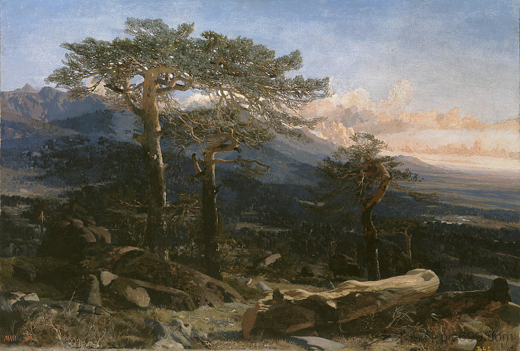 瓜达拉马景观 Guadarrama landscape，马丁·里科和奥尔特加