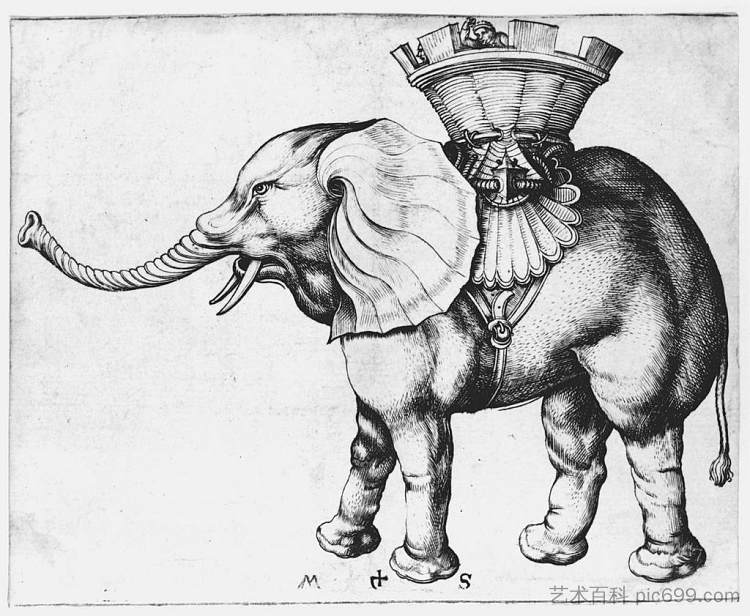 象 Elefant (c.1485)，马丁·松高尔