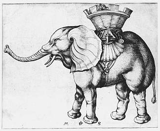 象 Elefant (c.1485)，马丁·松高尔