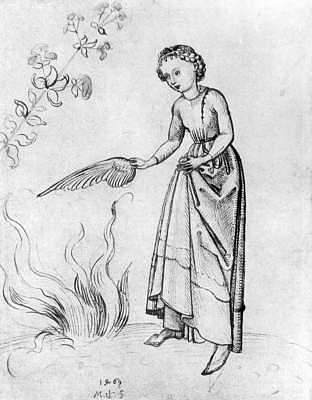 年轻女子用鸟的翅膀扇火 Young Woman Fanning a fire with a bird’s wing (1469)，马丁·松高尔