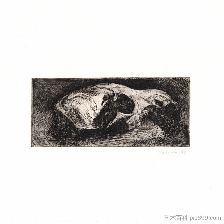 狐狸头骨 Fox Skull，马丁·约曼